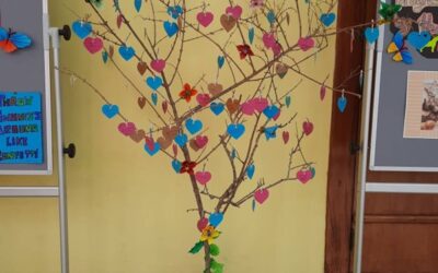 Learning Support Zone Activities – 1