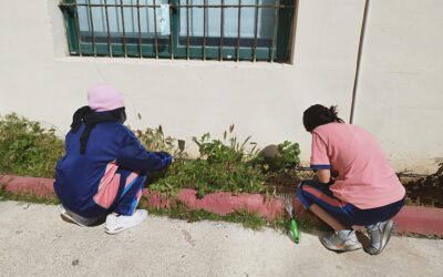 Gardening at Hamrun Secondary