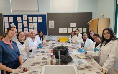 Biology – Kidney dissection