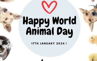 Animal Awareness Day !