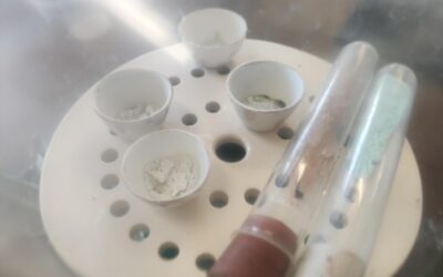 🔬✨ Chemistry in Action! ✨🔬