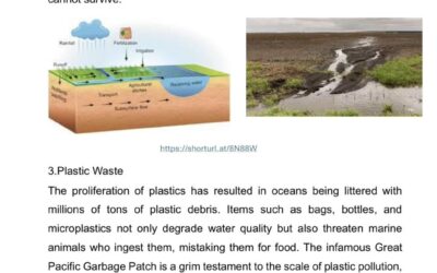 Article submission as part of the Young Reporters for the Environment
