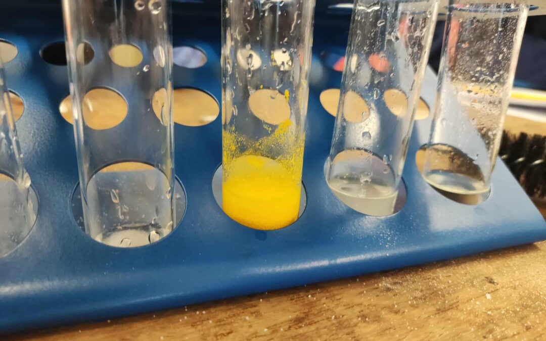 Mystery Solved! Year 11 Chemists Turn Detectives!