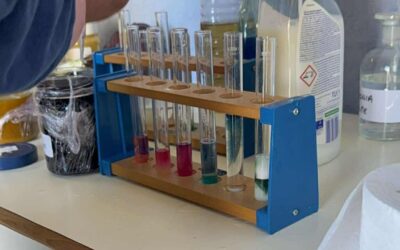 World science day !