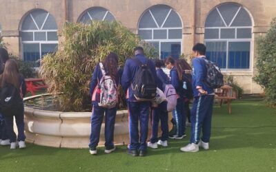 Year 9 visit to MCAST centre for Agribusiness