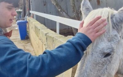 RMJ Horse Rescue visit