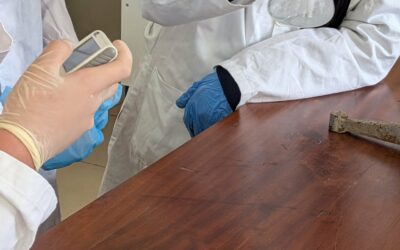 Chemistry Students Explore Water Hardness