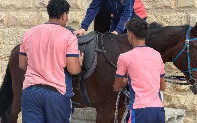 KTI – A visit to RMJ Horse Rescue